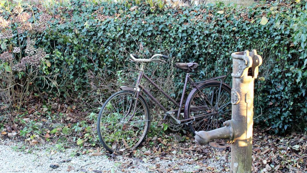 La Petite Jeusseliniere Villa Larchamp Luaran gambar